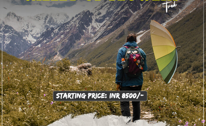 Valley of flowers trek