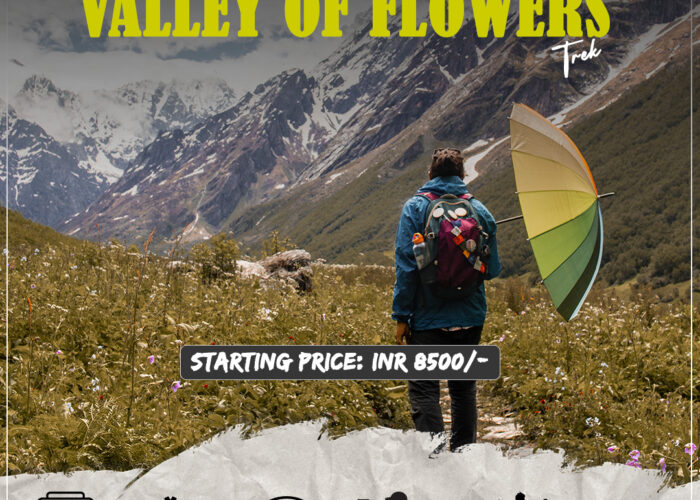 Valley of flowers trek