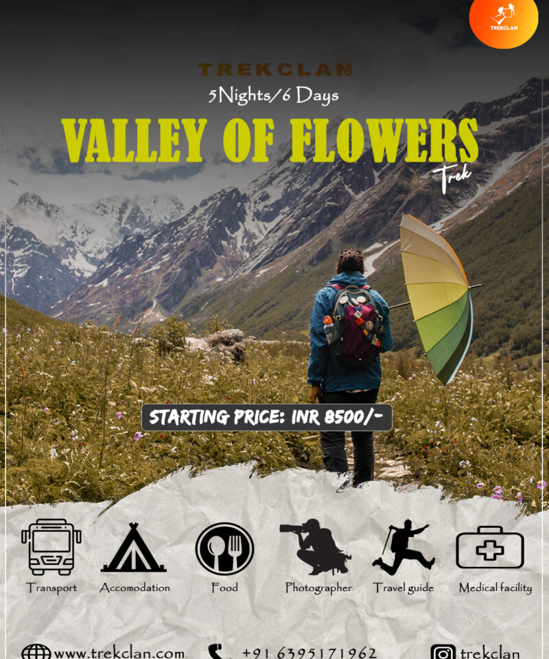 Valley of flowers trek
